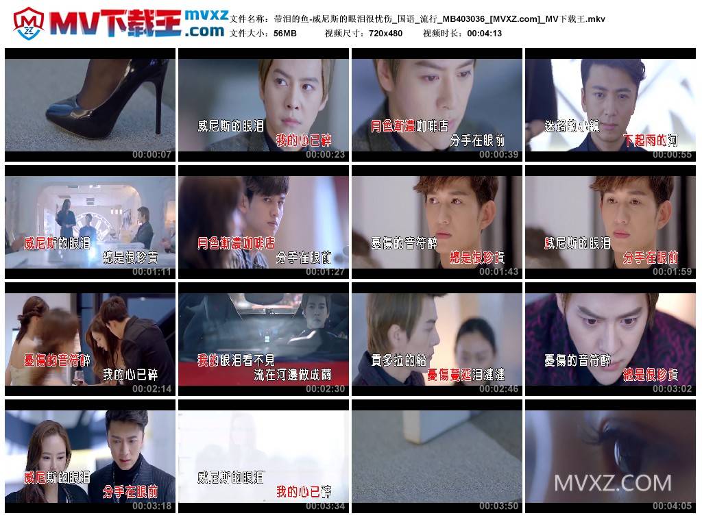 带泪的鱼-威尼斯的眼泪很忧伤_国语_流行_MB403036